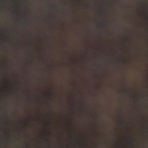 Meet your Posher, Alesandra